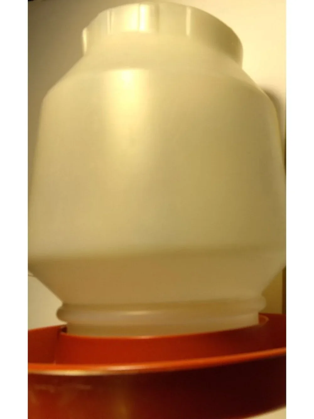Little Giant Poultry Waterer 1 Gallon Chicken Water fountain